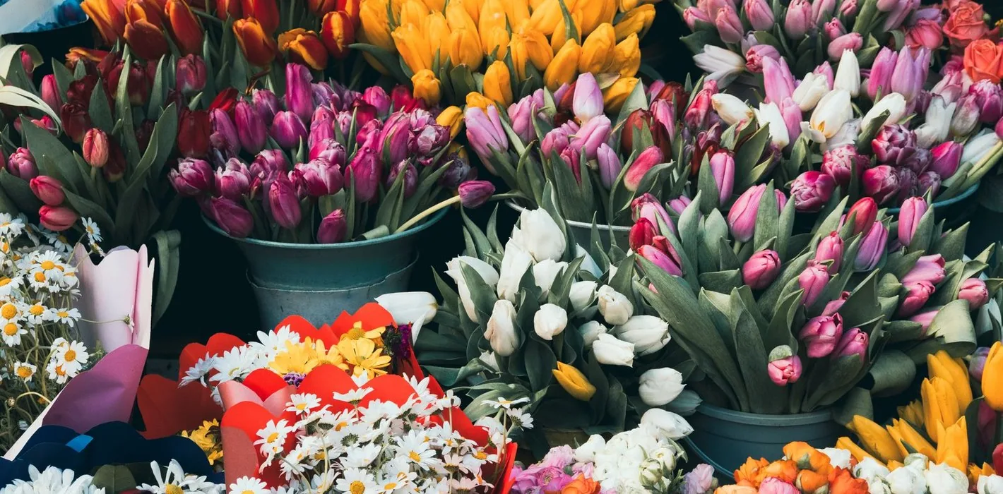 Florist – Nghệ sĩ tạo hương sắc cho khách sạn 4–5 sao